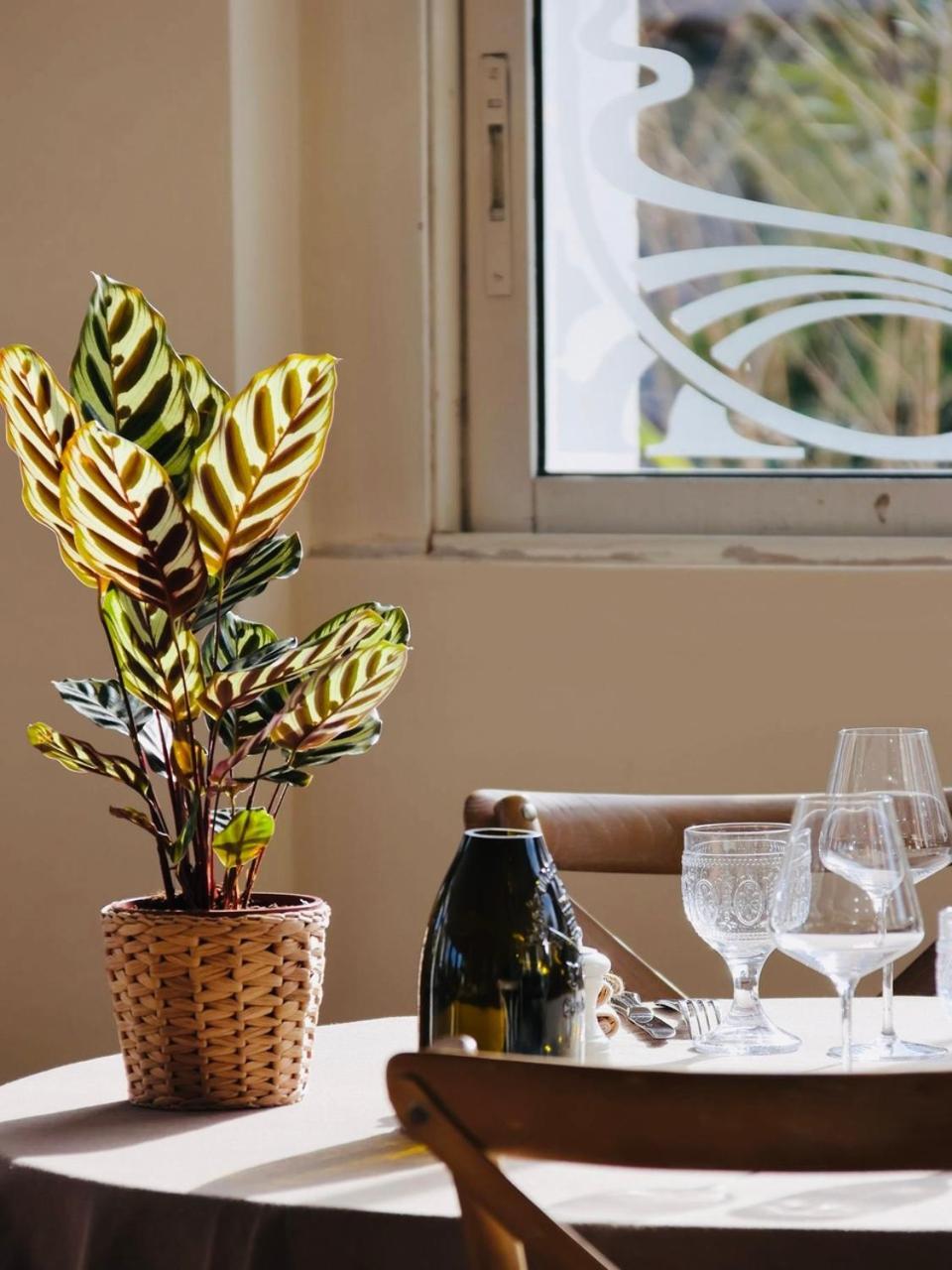 Adonis Sanary Grand Hotel Des Bains Экстерьер фото